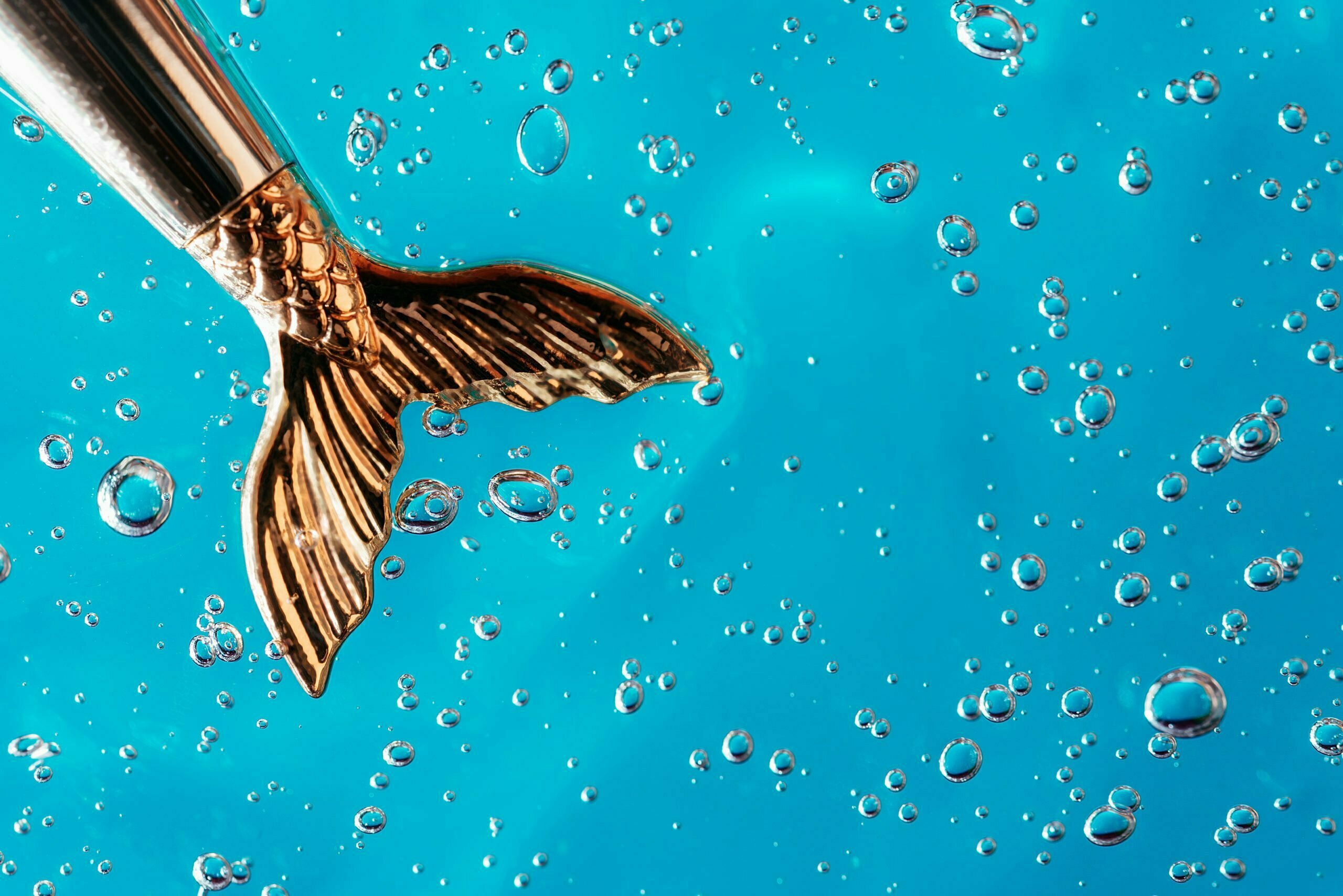 a fish swimming in the water