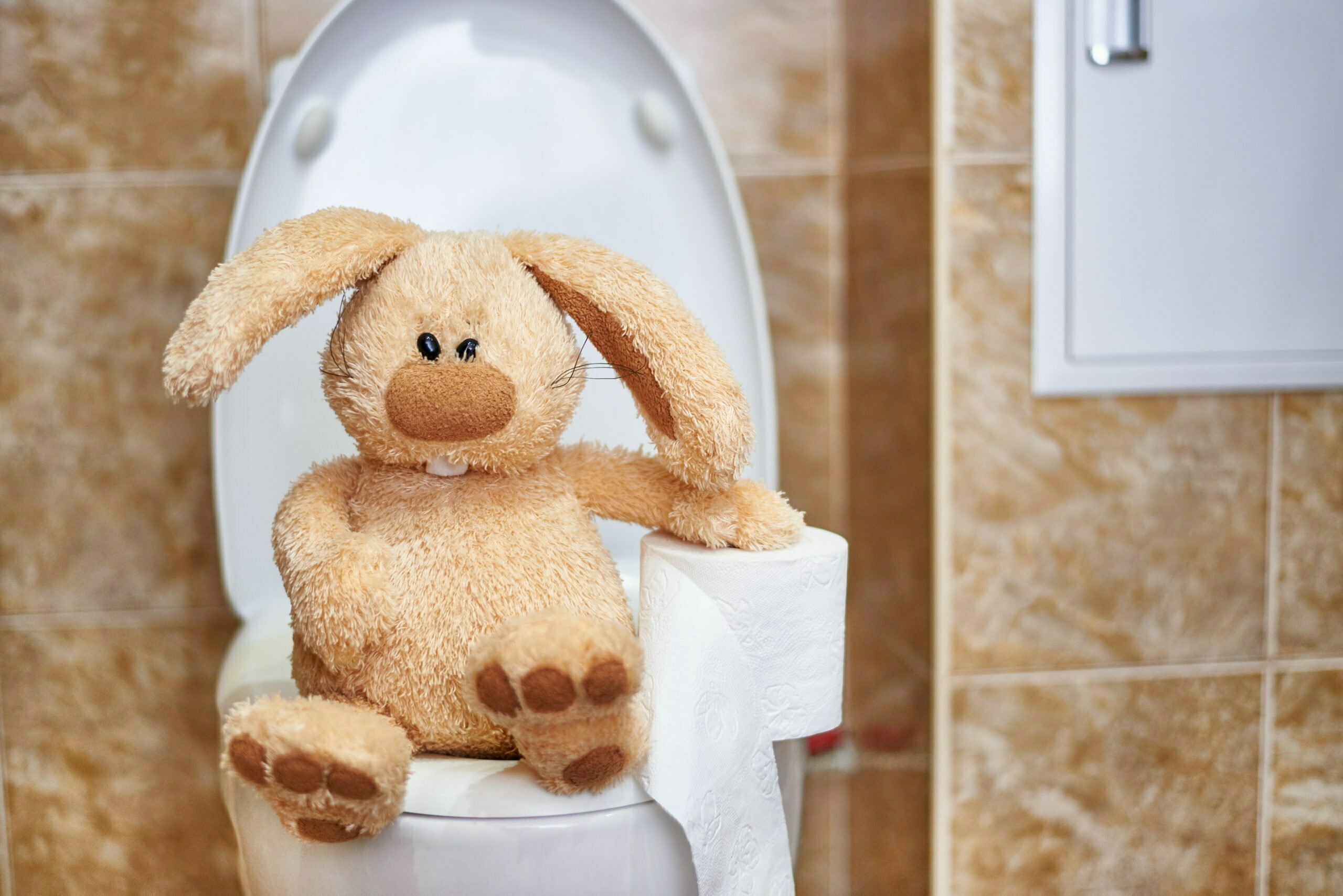 Toy rabbit in the toilet
