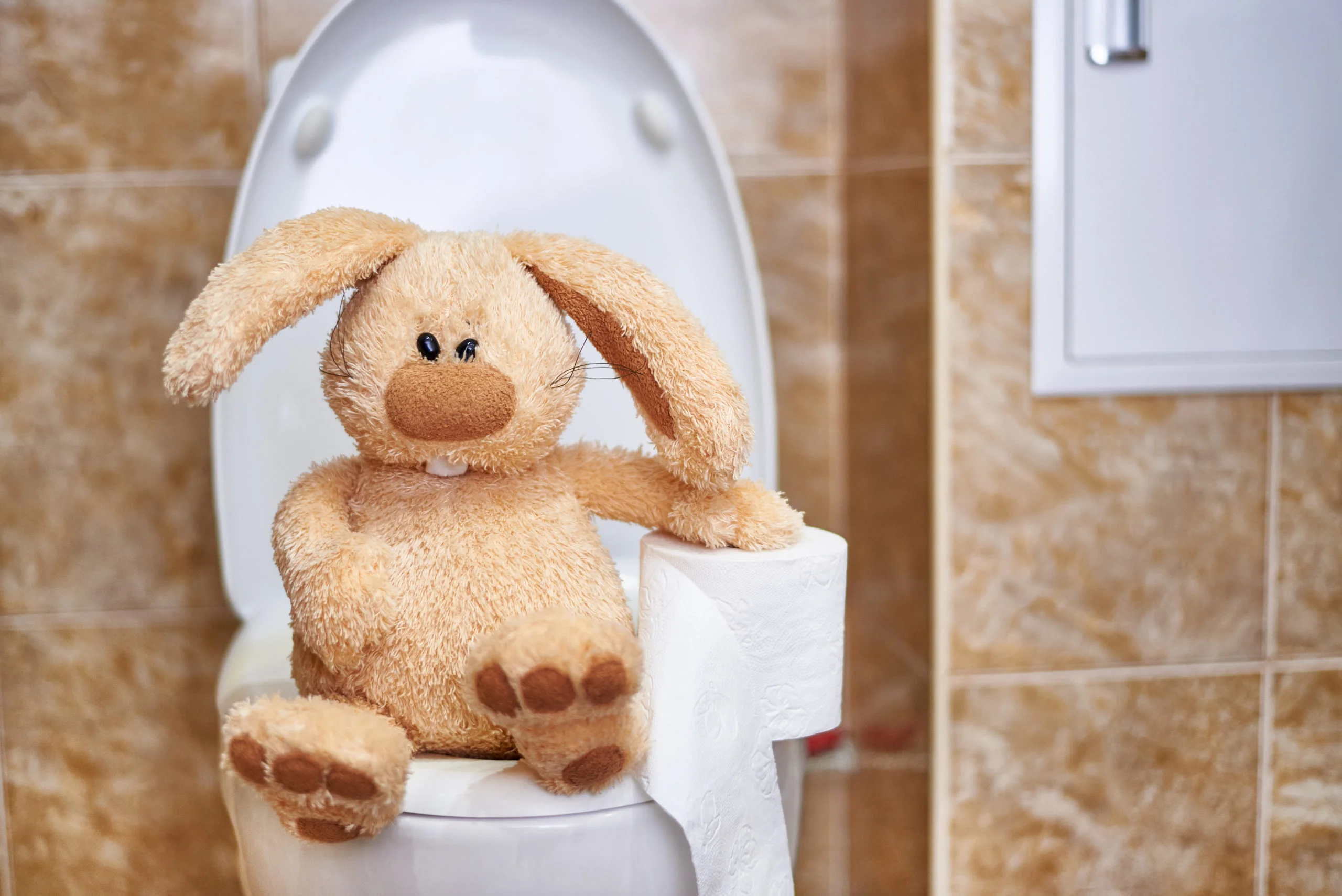 Toy rabbit in the toilet